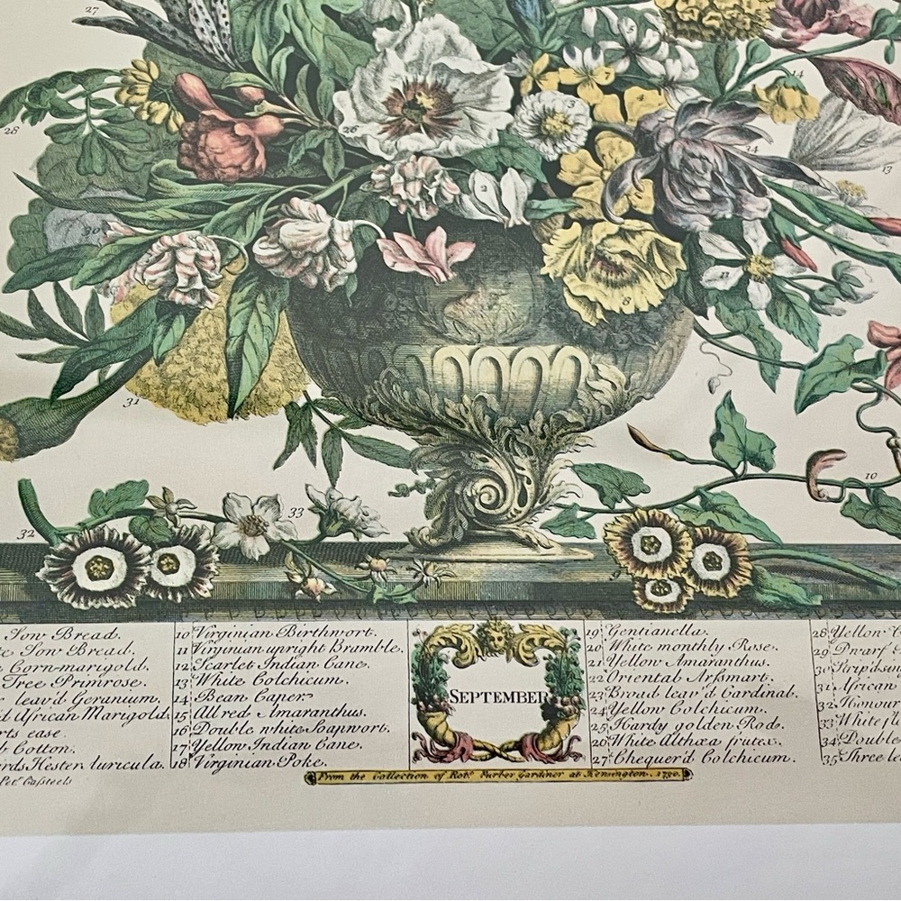 2 Framed Matted Vintage Floral Flower Botanical Bouquet Prints Litho Robert Furb - Picture 5 of 14
